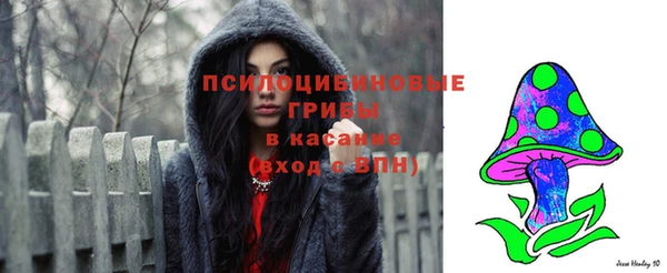 молекула духа Пролетарск