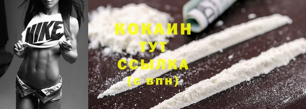 сатива Зеленодольск